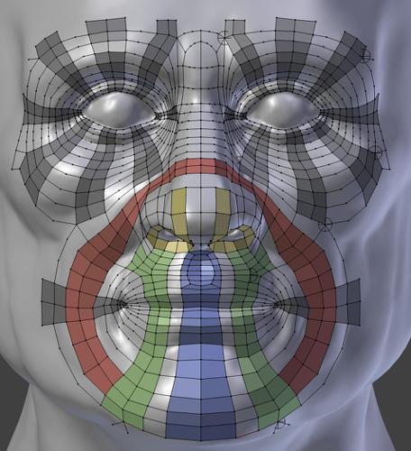 Face retopo refence preview image